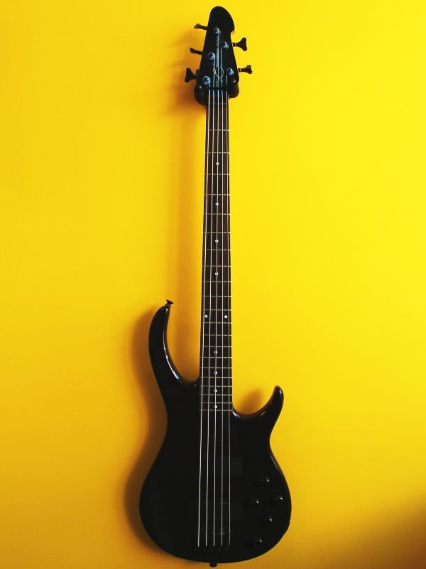 Peavey Millennium AC BPX 5-String Active Bass